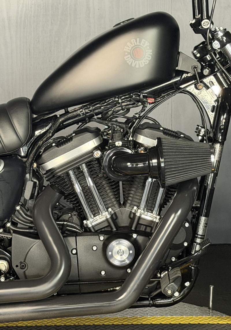 Iron 883®