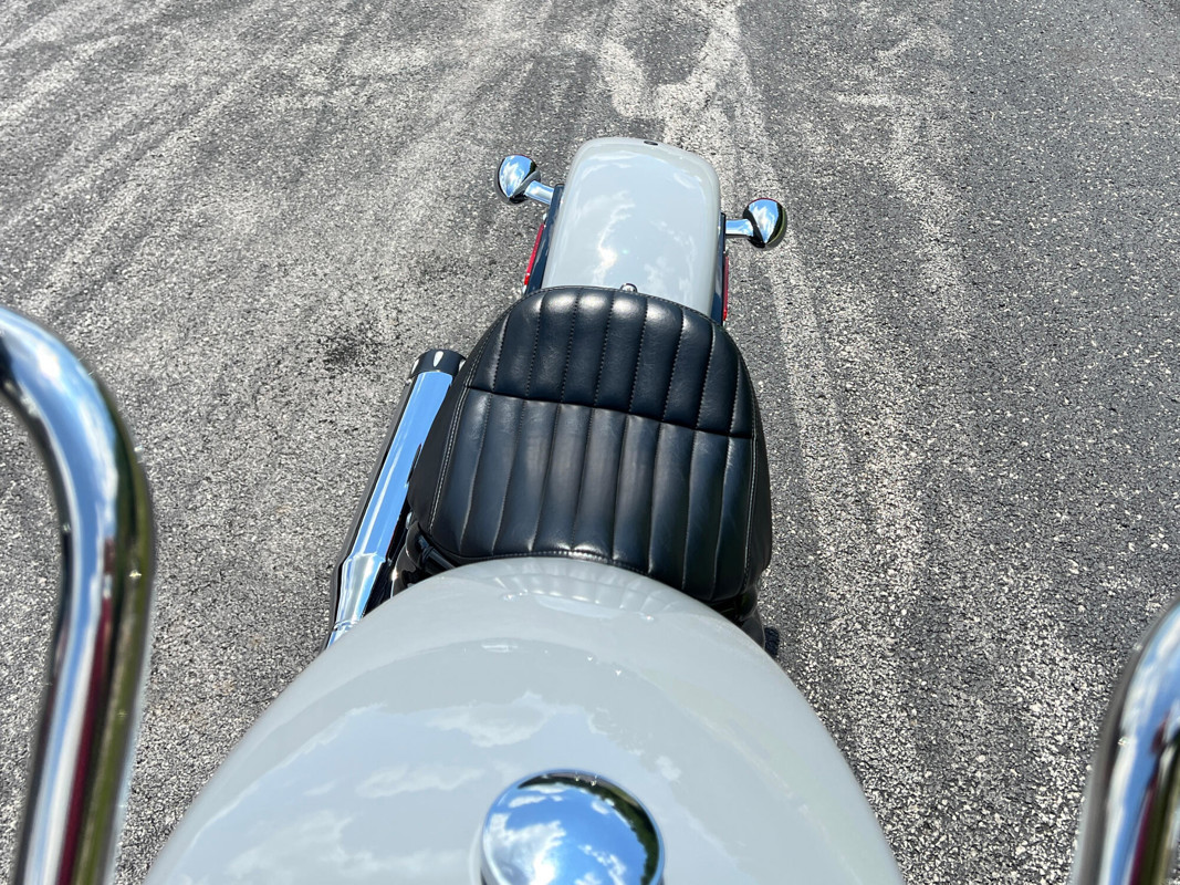 Softail® Standard