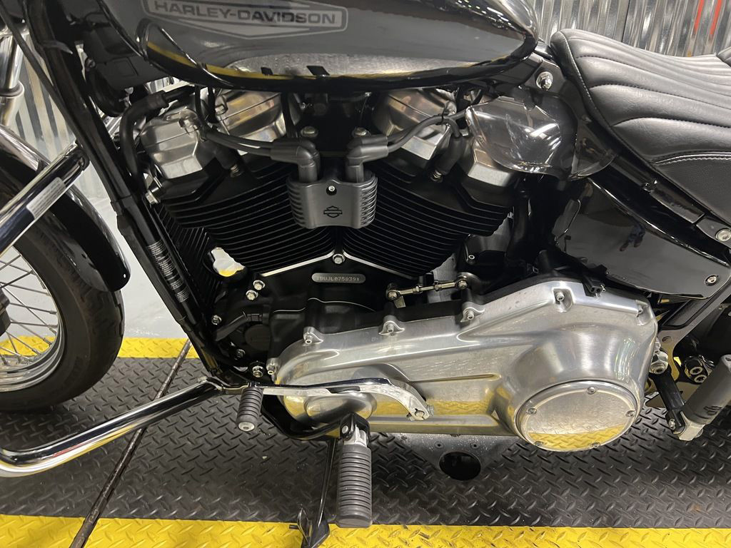 Softail® Standard