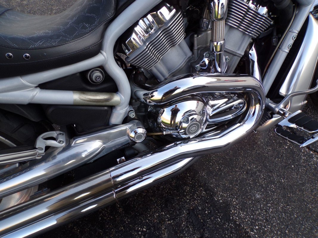 V-Rod®