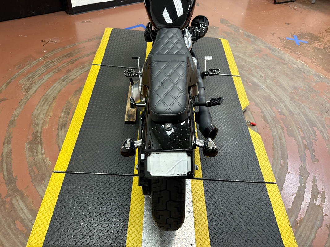 Softail® Standard