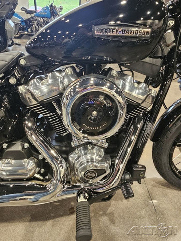 Street Bob®