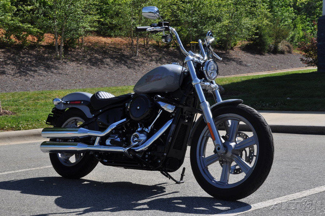 Softail® Standard