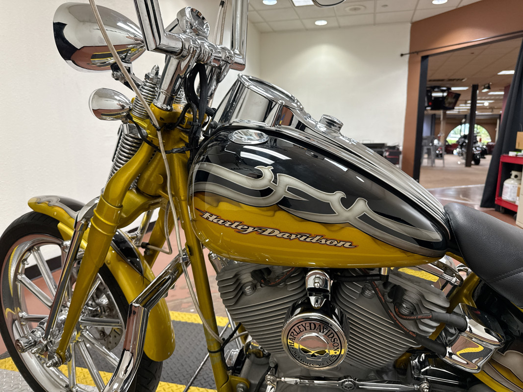 Screamin' Eagle® Softail® Springer®