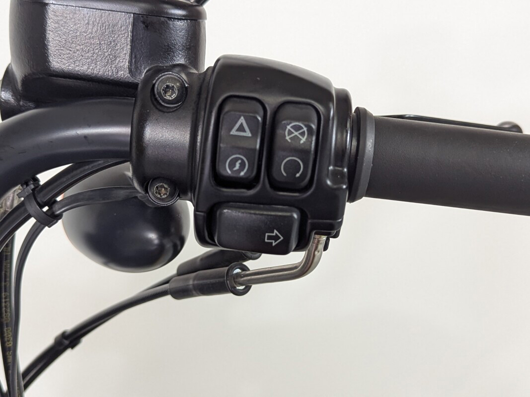 Iron 1200®