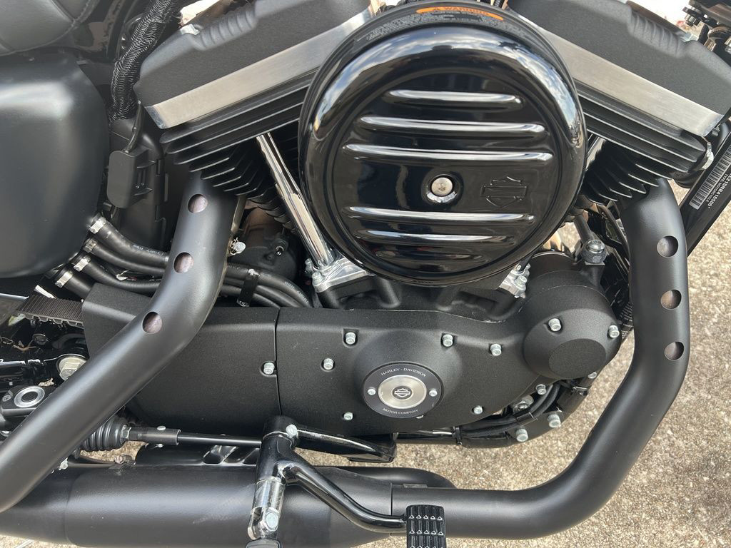 Iron 883®