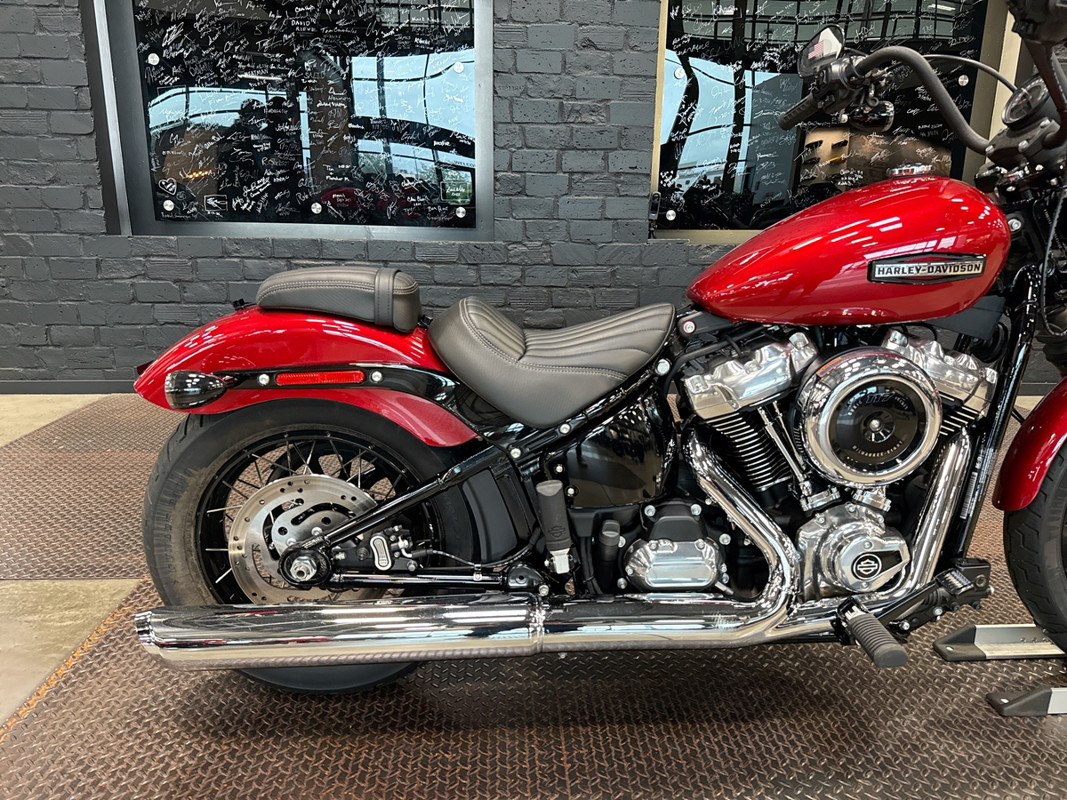 Street Bob®