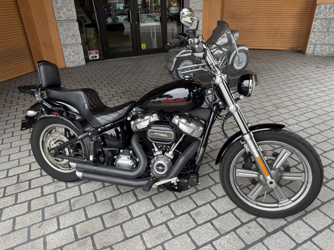 Softail® Standard