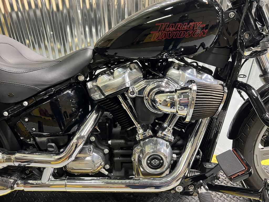 Softail® Standard