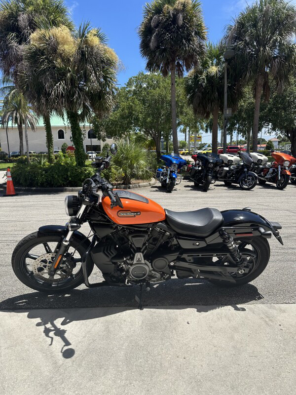 Nightster