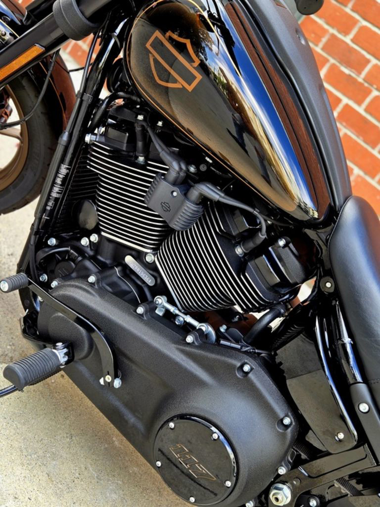Low Rider® S
