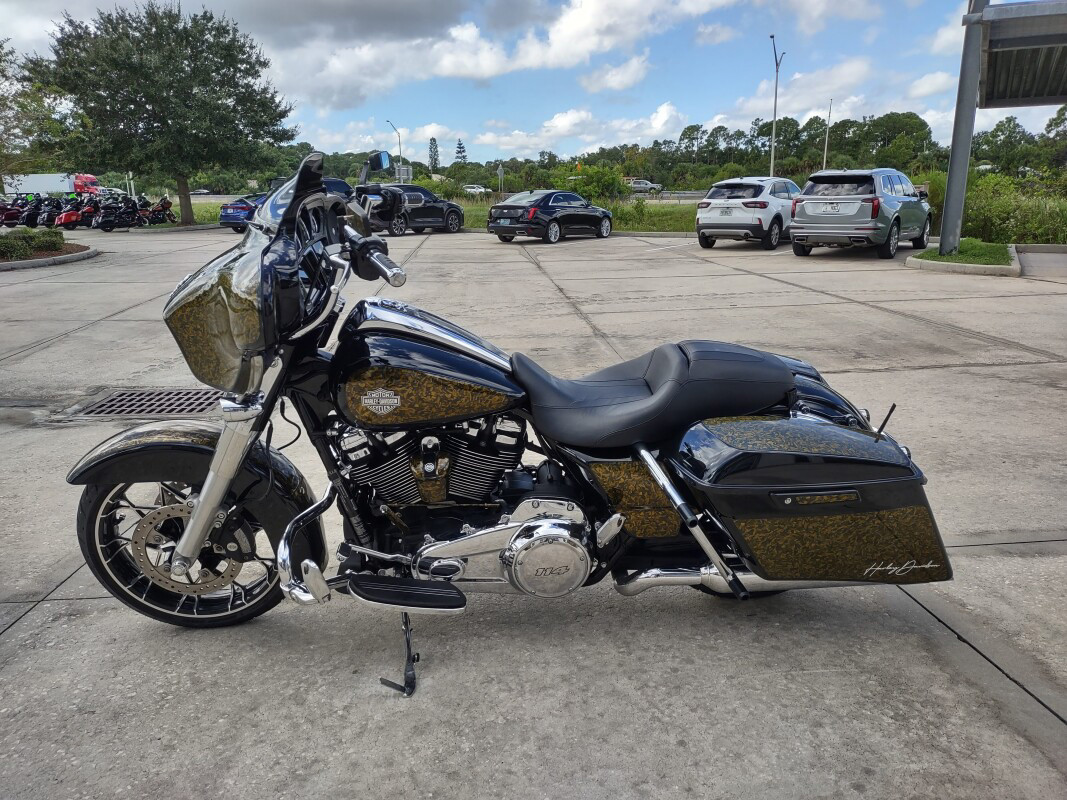 Street Glide® Special