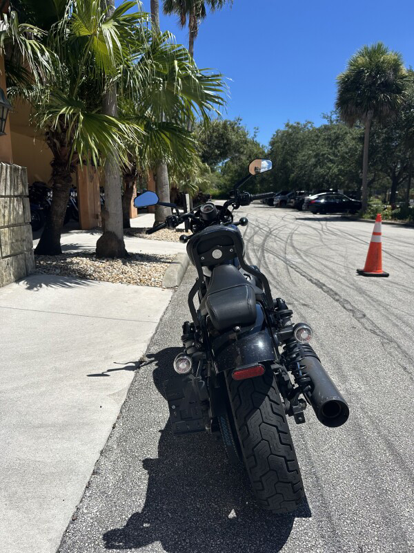 Nightster