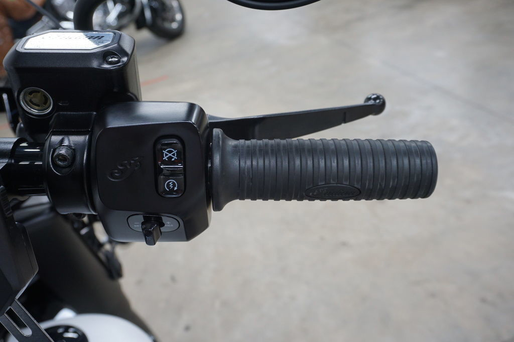 Springfield Dark Horse