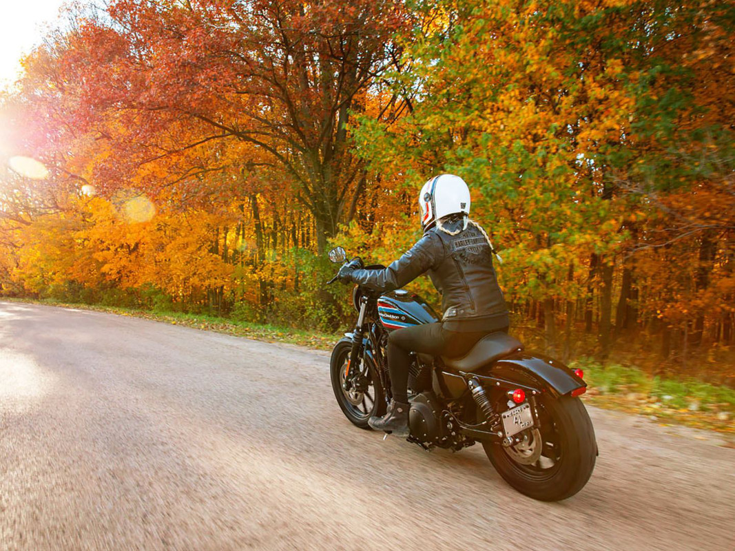 Iron 1200®