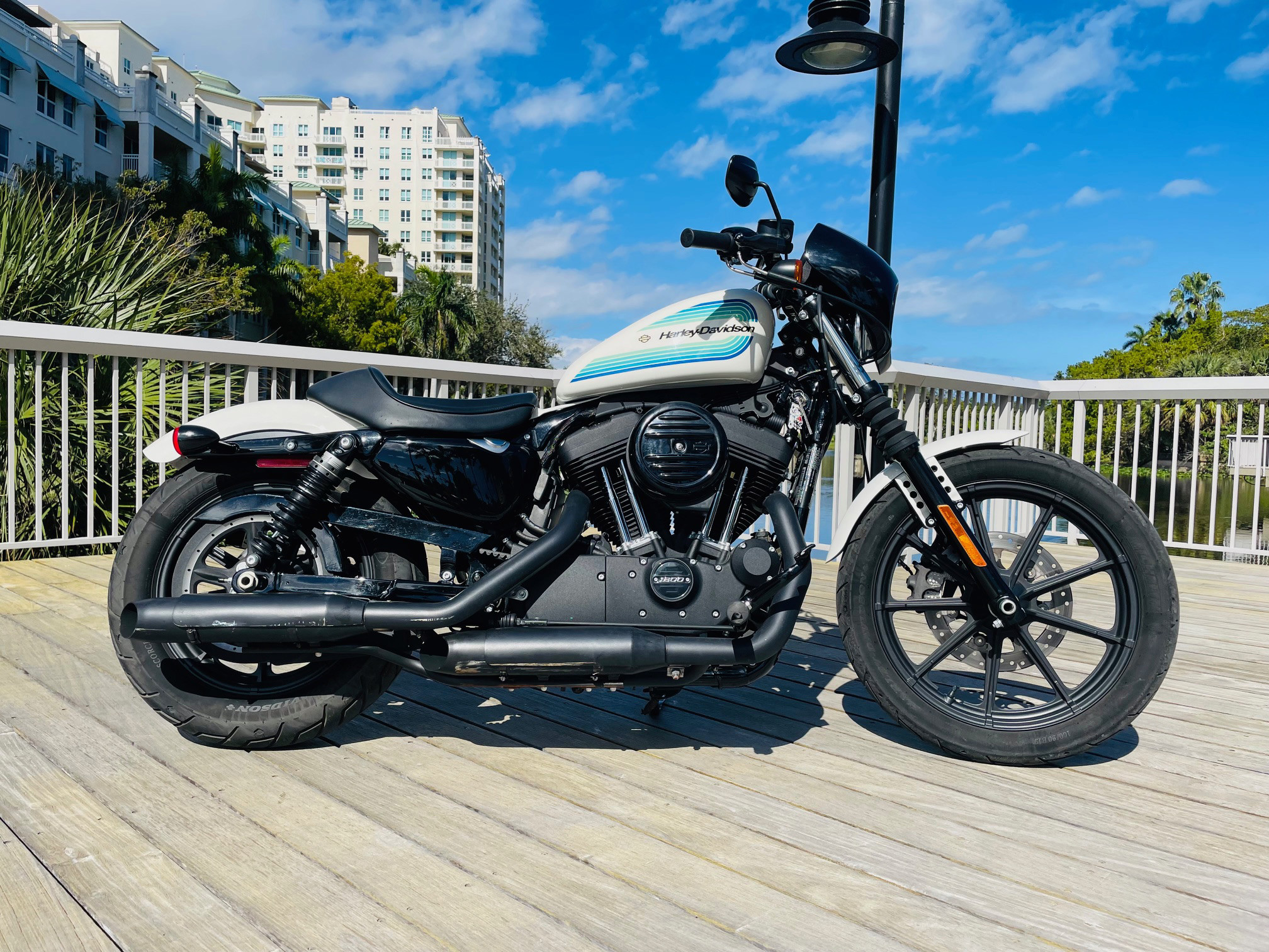Interesting 2019 Harley Davidson Iron 1200 Photos