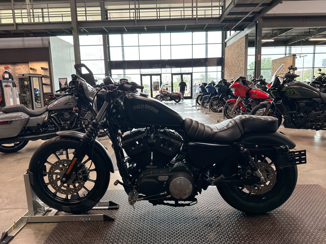 Sportster® Iron 883®