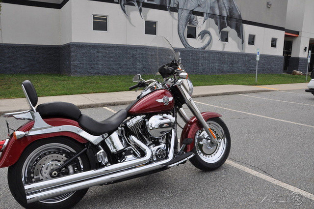 Softail® Fat Boy®