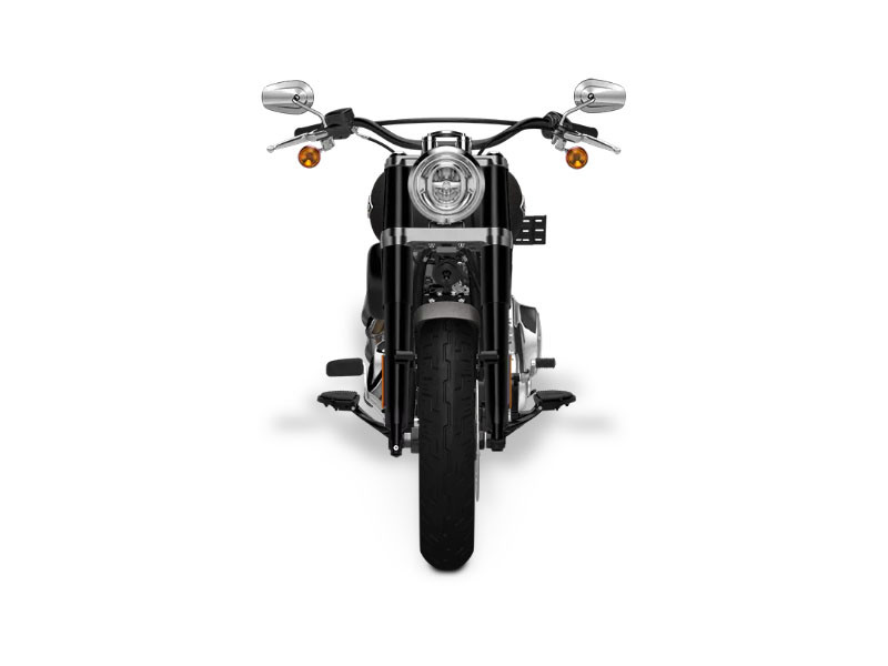 Softail® Slim®