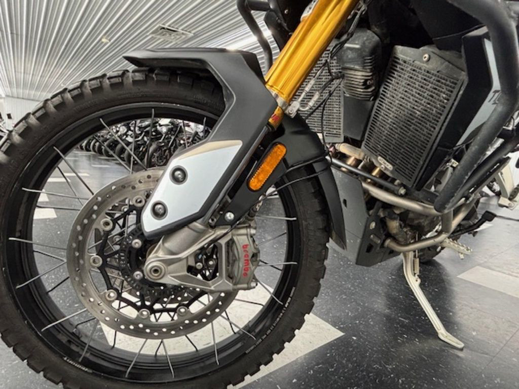 Tiger 900 Rally