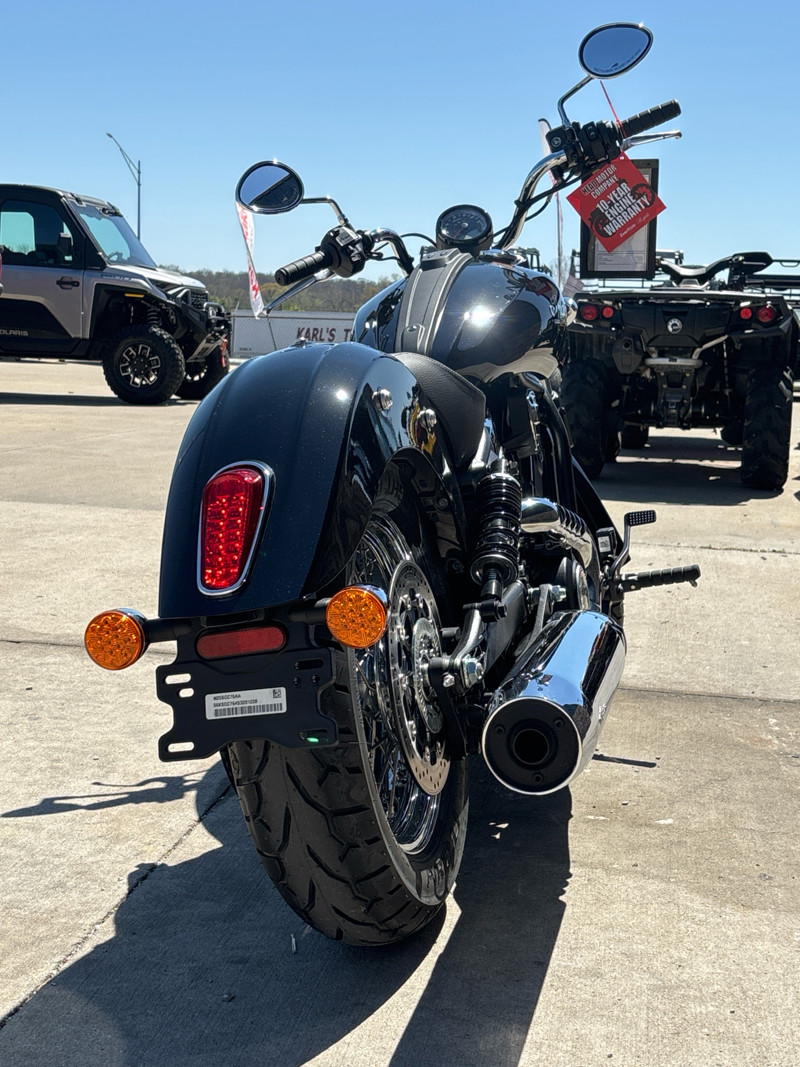 Scout Classic Limited