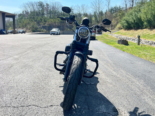 Sportster® Iron 883®