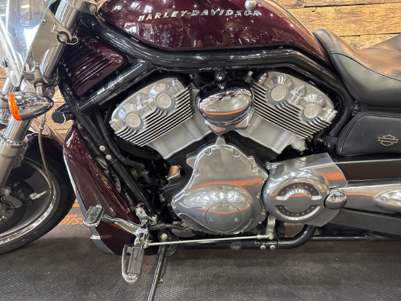 V-Rod® - Black Frame