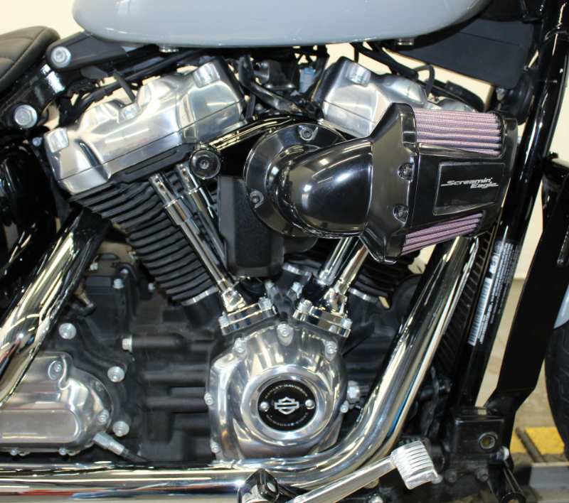 Softail® Standard