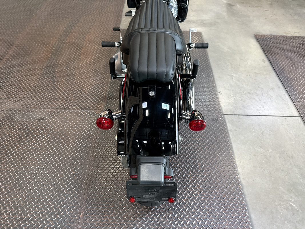 Softail® Standard