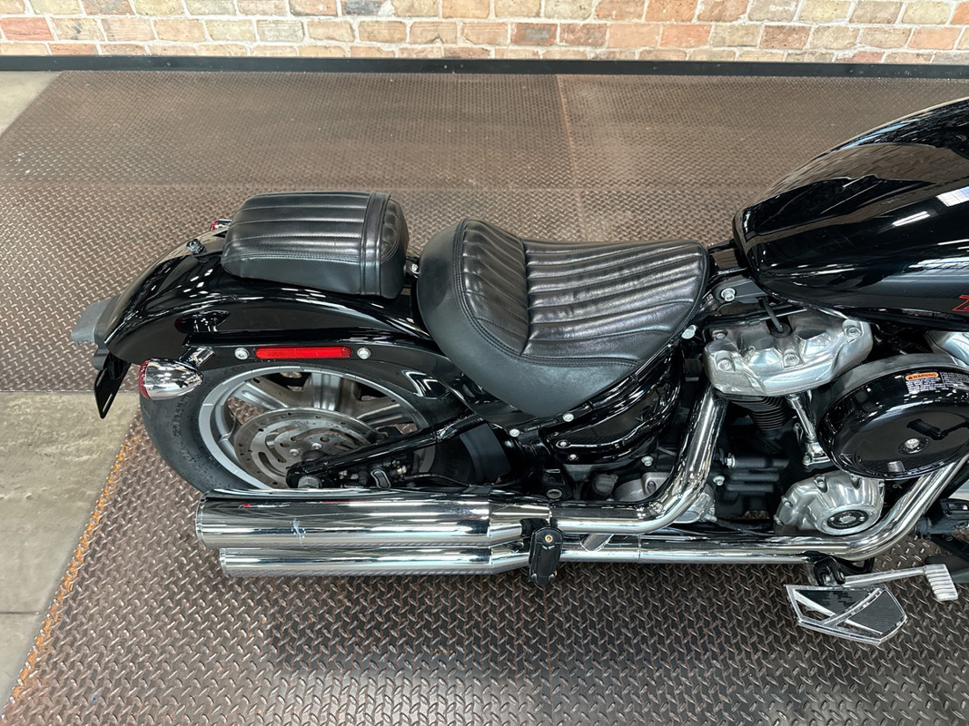 Softail® Standard