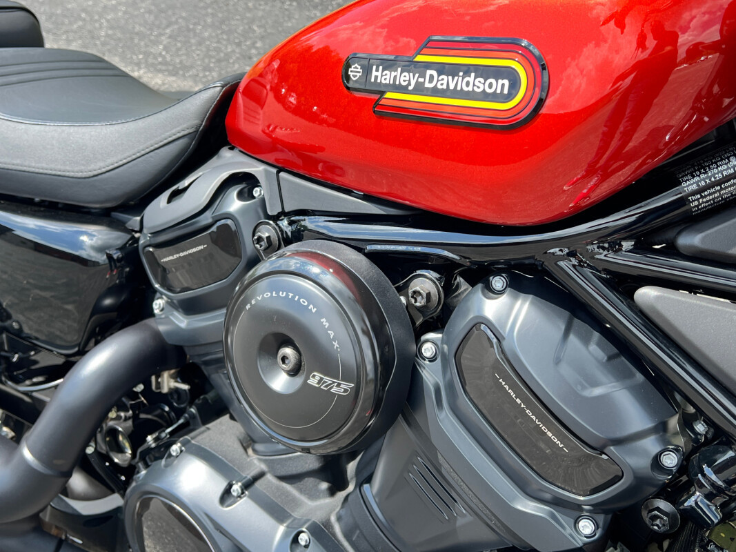 Nightster Special