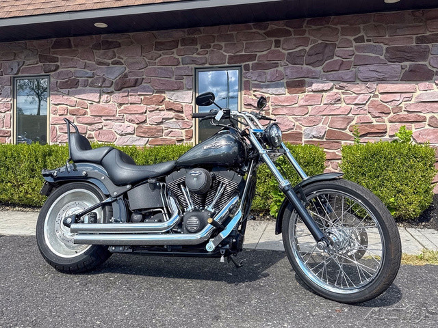 Softail® Night Train®