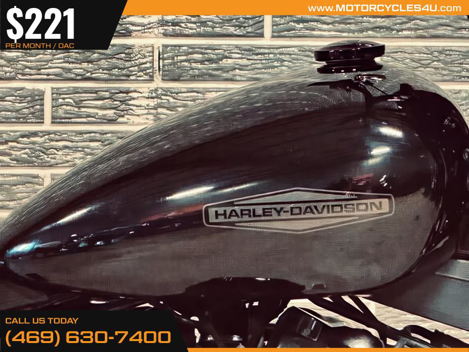 Softail® Standard