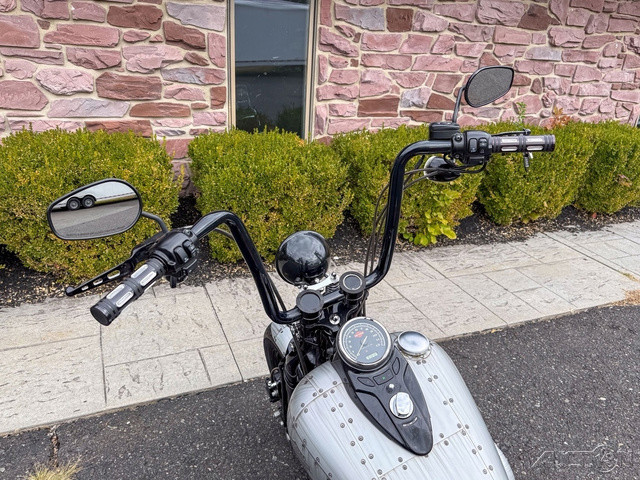 Softail® Cross Bones®