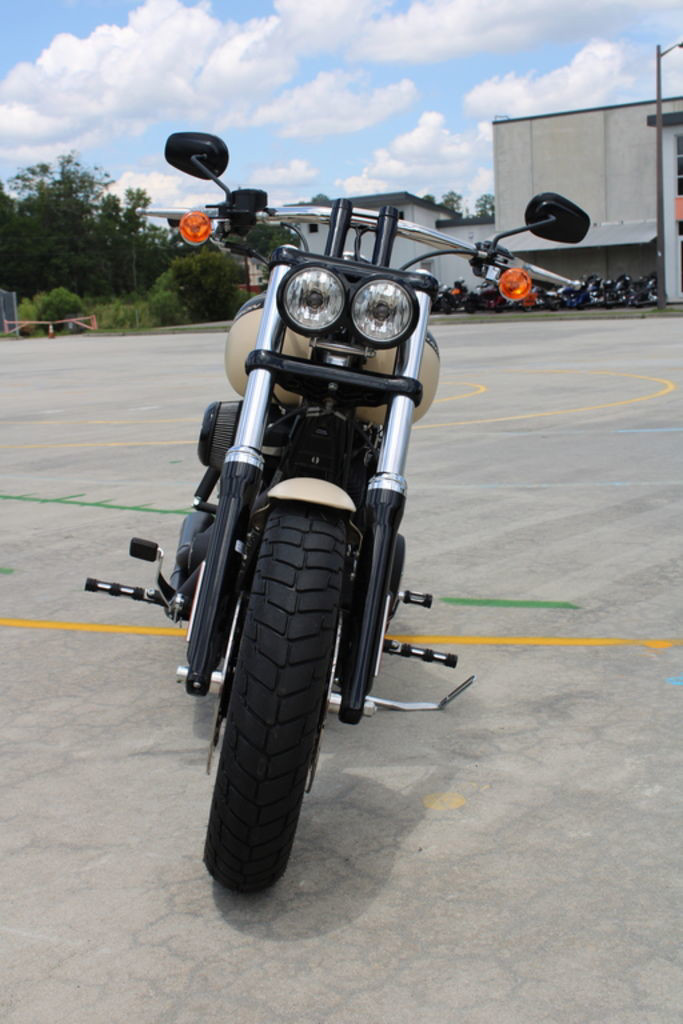 Dyna® Fat Bob®