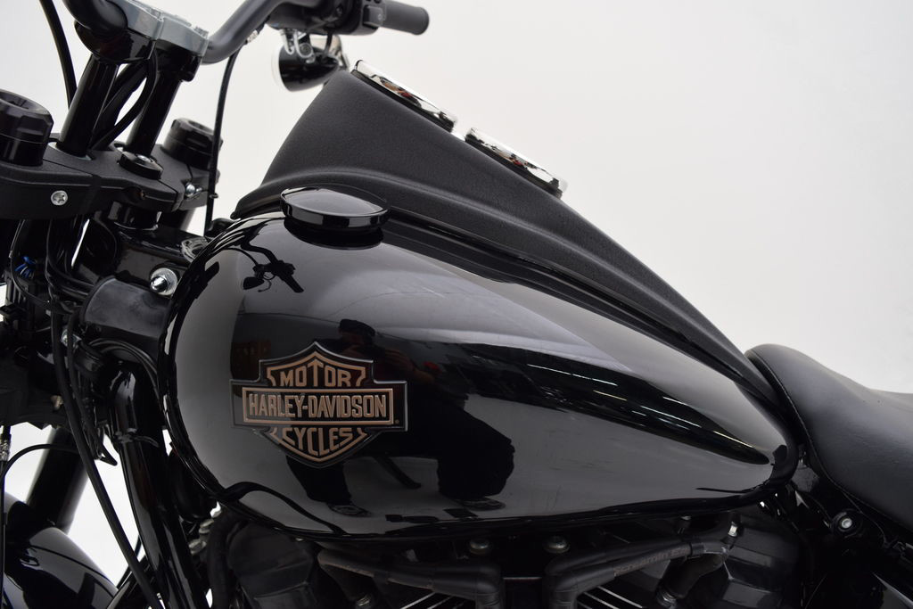 Low Rider® S