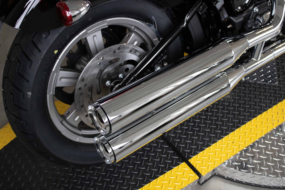 Softail® Standard
