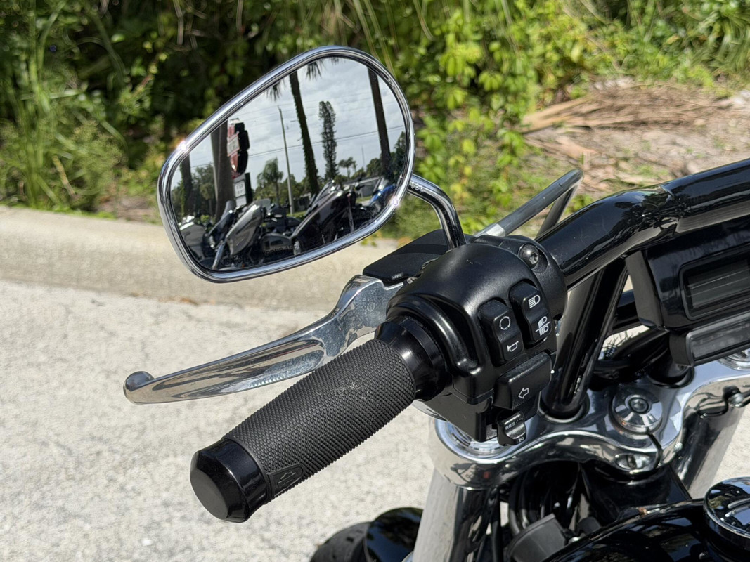 Softail® Standard