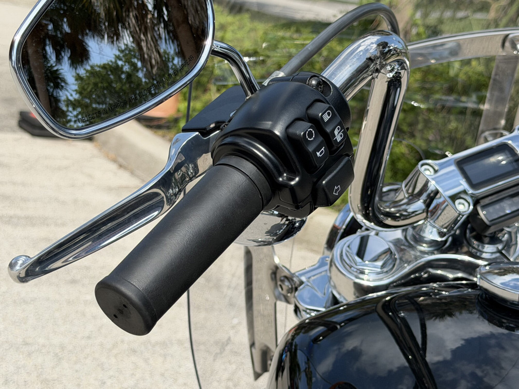 Softail® Standard
