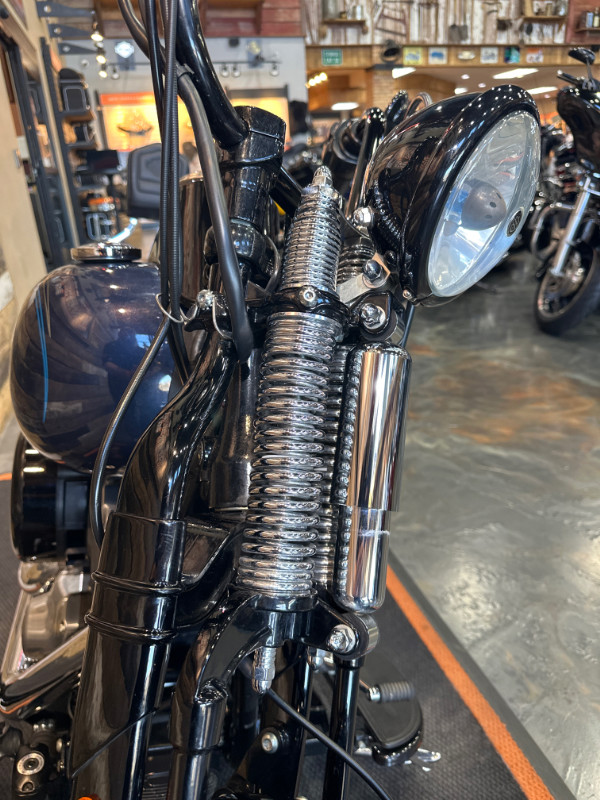Softail® Cross Bones®