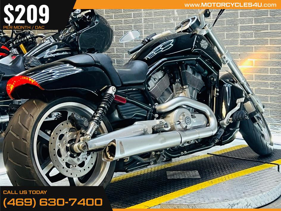 V-Rod Muscle®