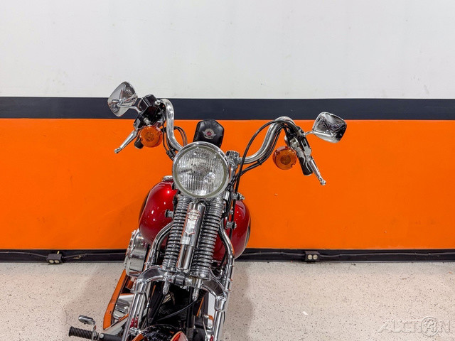 Springer® Softail®