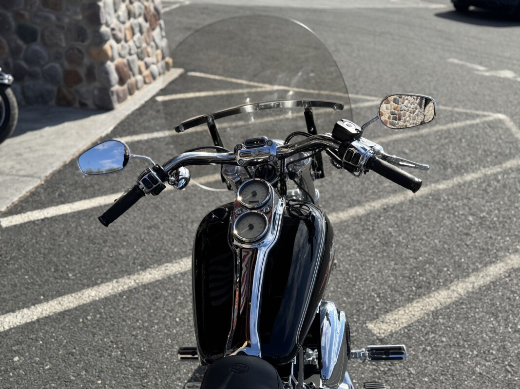 Dyna® Low Rider®