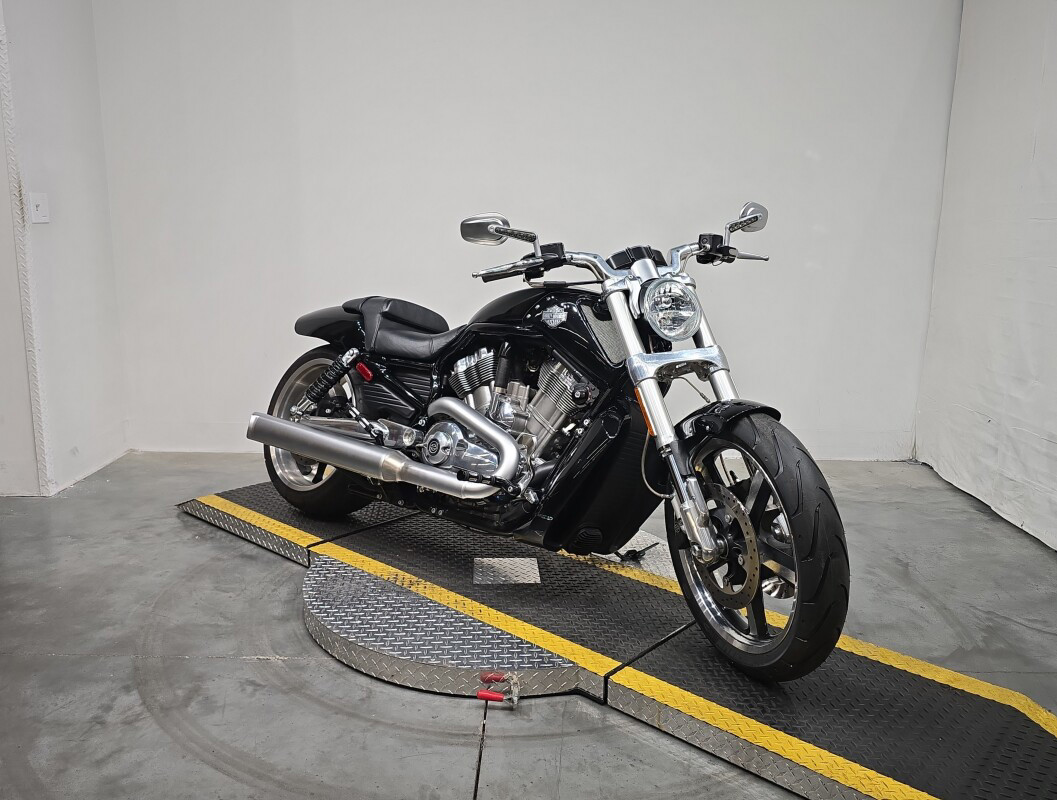 V-Rod® Muscle