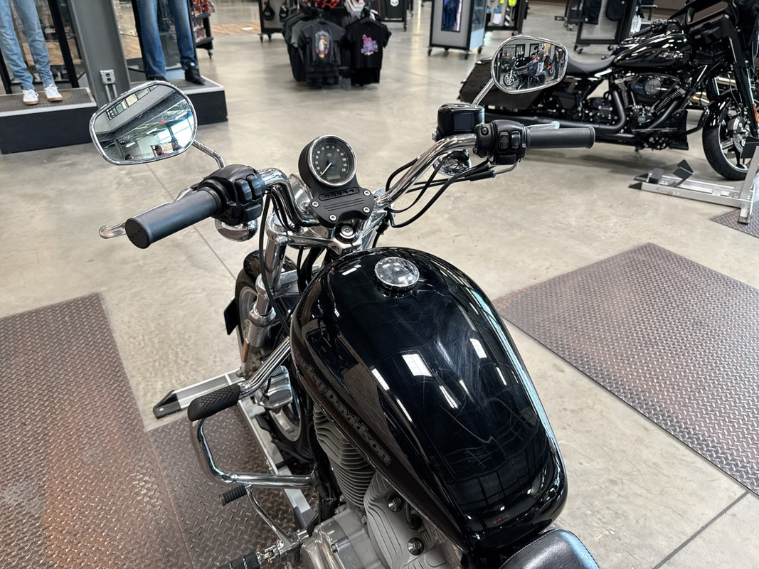 Sportster® SuperLow®