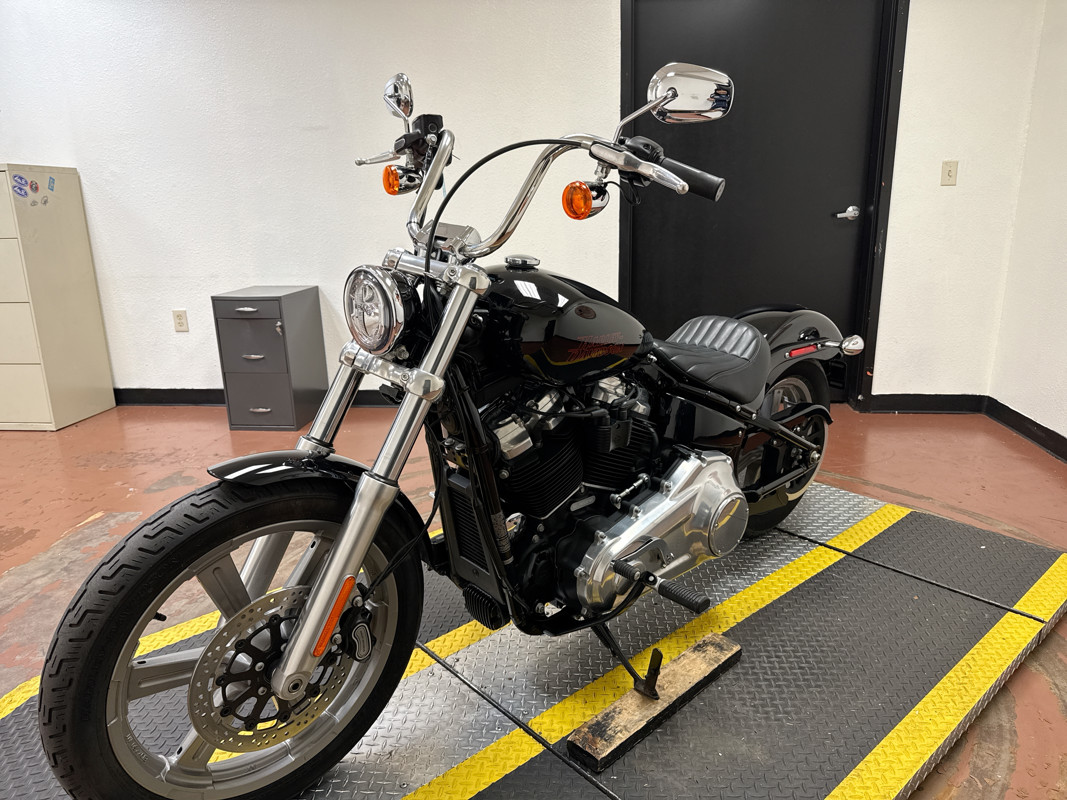 Softail® Standard