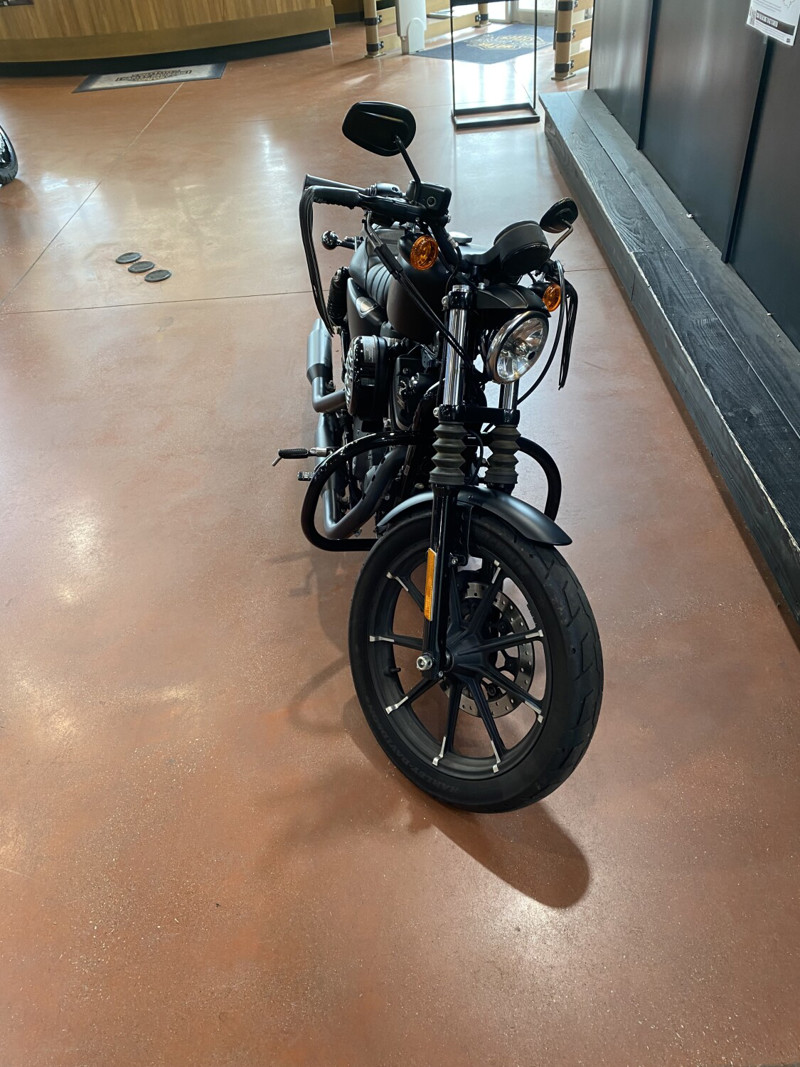 Iron 883®