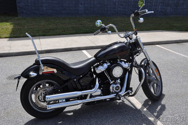 Softail® Standard