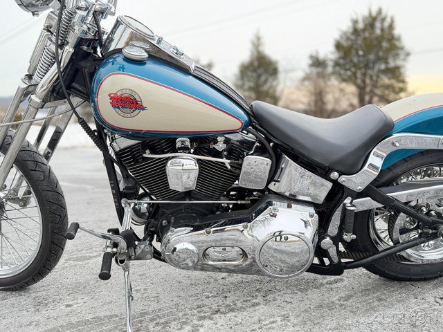 Springer® Softail®