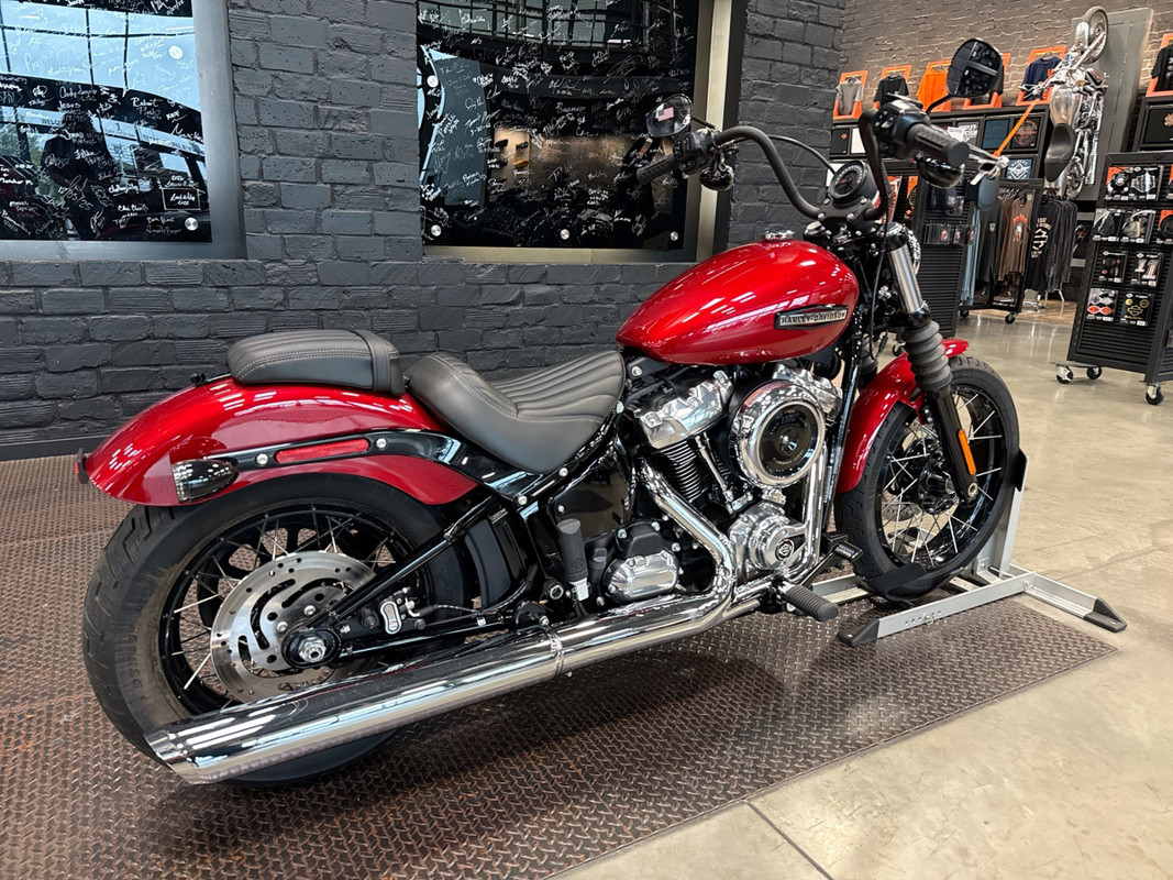 Street Bob®